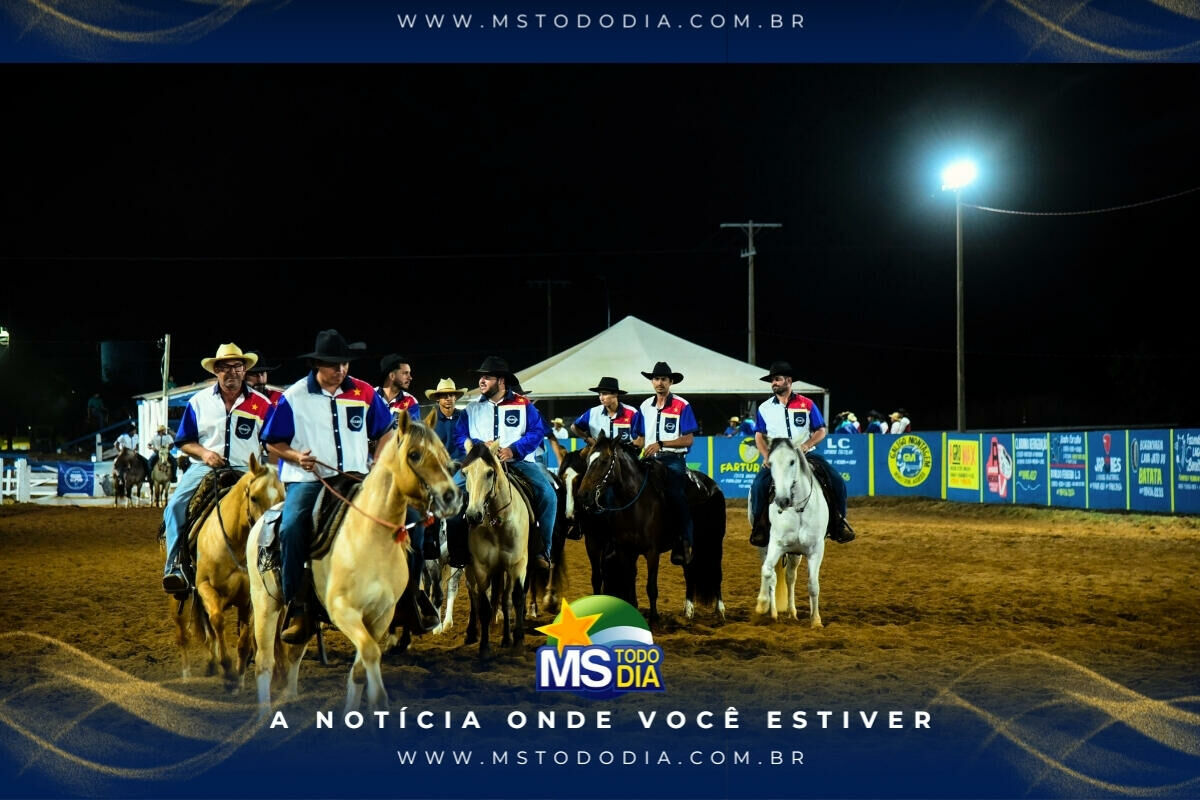 Imagem da Galeria